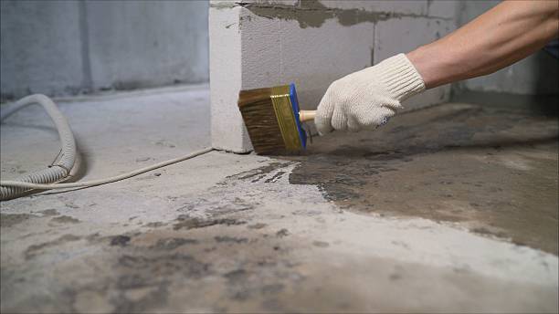 SJ Waterproofing Pros Waterproofing coverage map for Briceville, TN and surrounding area